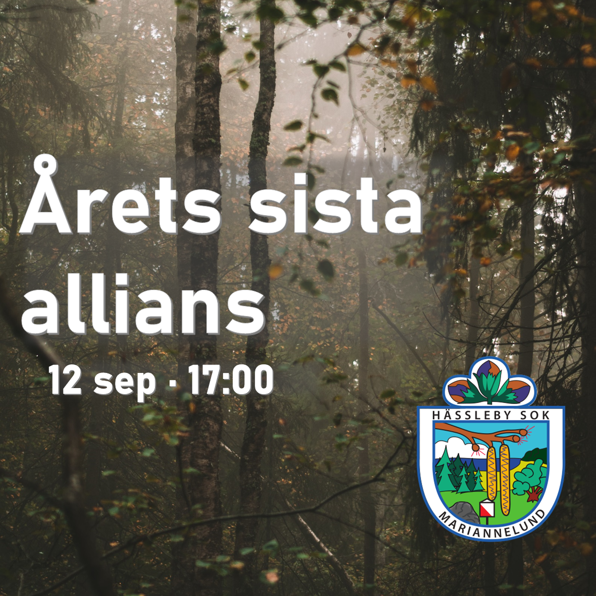 image: Årets sista allians!